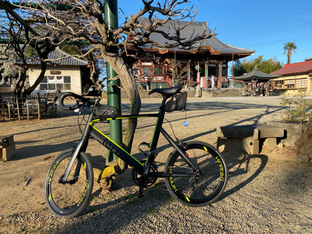 TERN SURGE PRO
